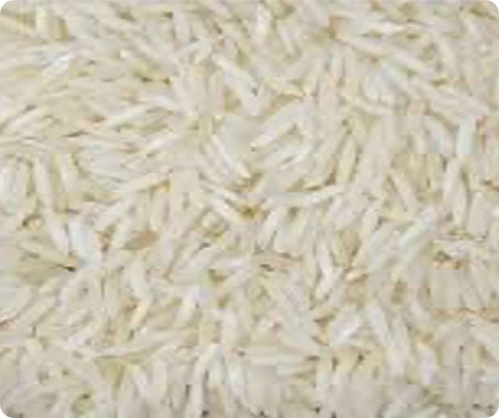 Sugandha Basmati rice exporter premium quality