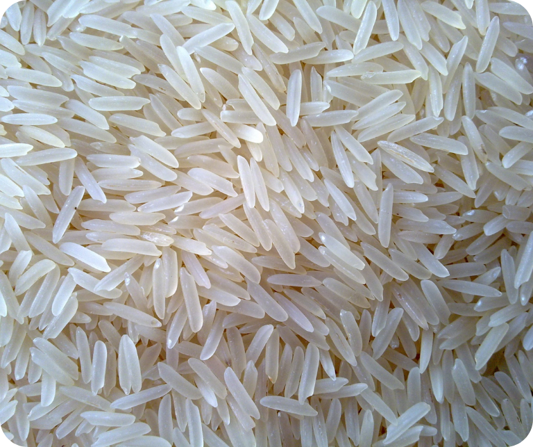 Sharbati Basmati Rice