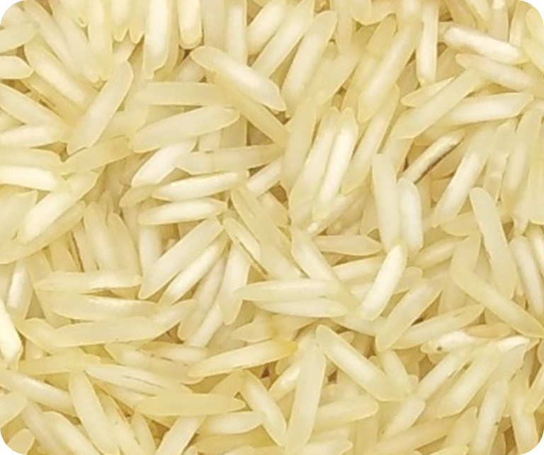 Pure Basmati Rice (1509)