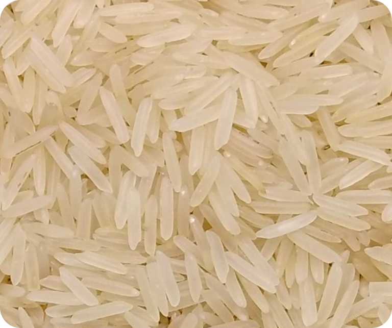 Sugandha Basmati Rice
