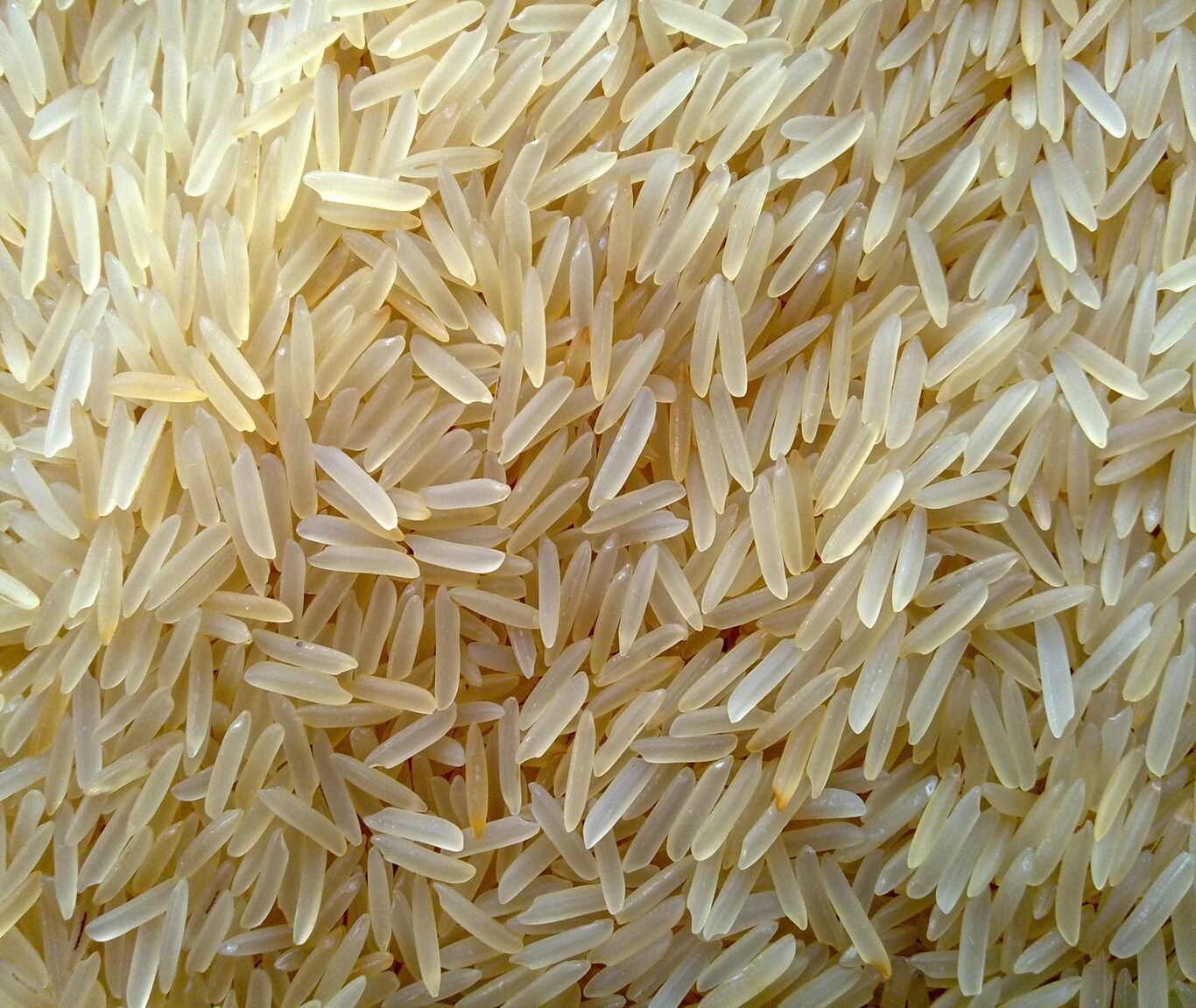 1121 golden basmati rice