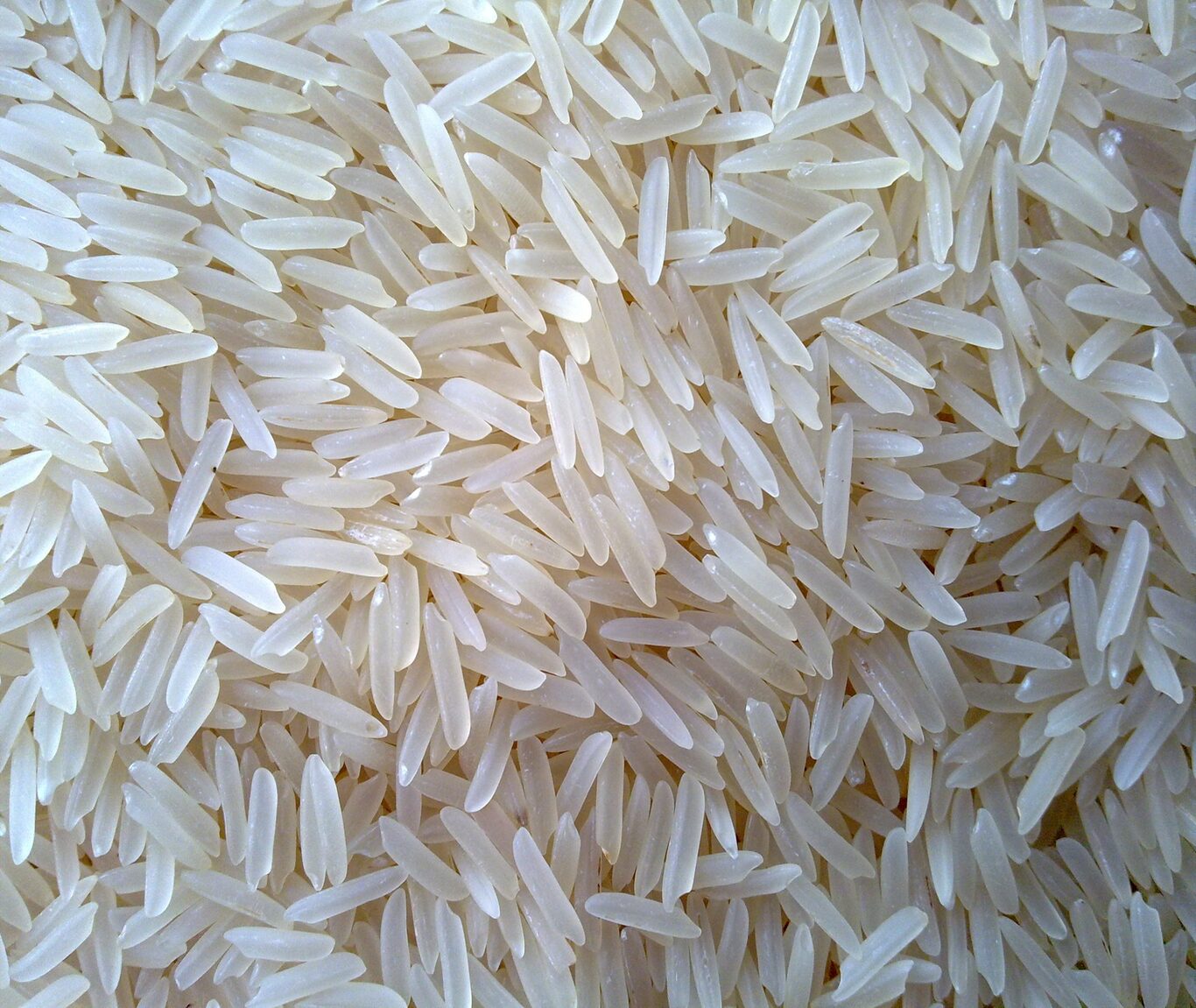 pusa steam basmati rice